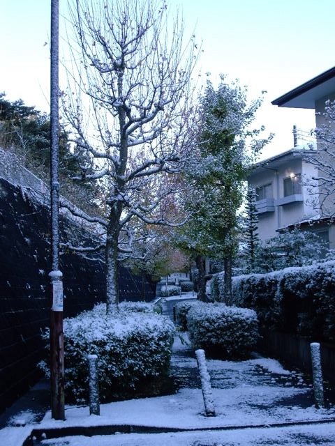 雪景色２