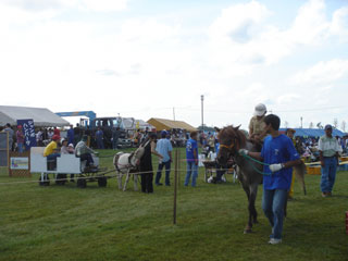 伯爵祭り体験乗馬02’2004.9.5
