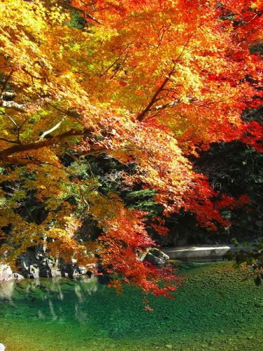 hiroの部屋 尾鈴 河沿いの紅葉