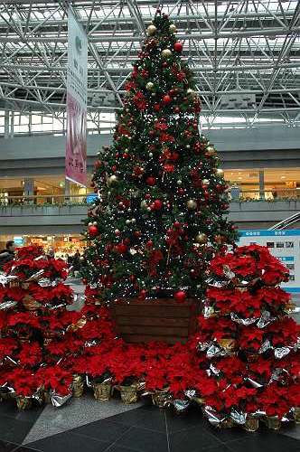 （千）191208 新千歳空港 クリスマスツリー 1-1-s